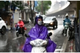 Tin Bão trên Biển Đông: Cơn Bão số 3