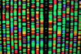 DNA của người Mỹ vũ khí hóa DNA