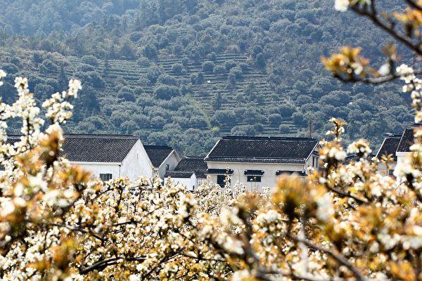 Người tàn tật thiện lương cảm động đến Thần, khỏi được tàn tật