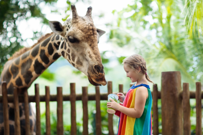 5 lời khuyên từ một người tiên phong trong lãnh vực Homeschool (Giáo dục tại nhà)