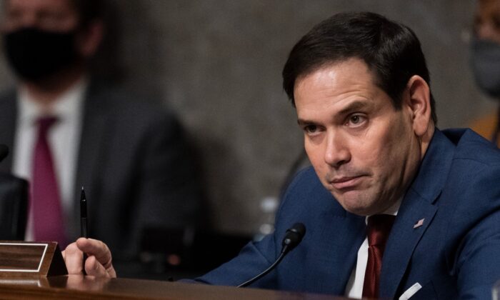 Thượng nghị sĩ Rubio: Intel ‘tự kiểm duyệt’ bằng cách xóa đề cập đến Tân Cương khỏi bức thư ngỏ