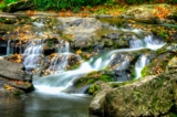 Công viên Great Smoky Hoa Kỳ
