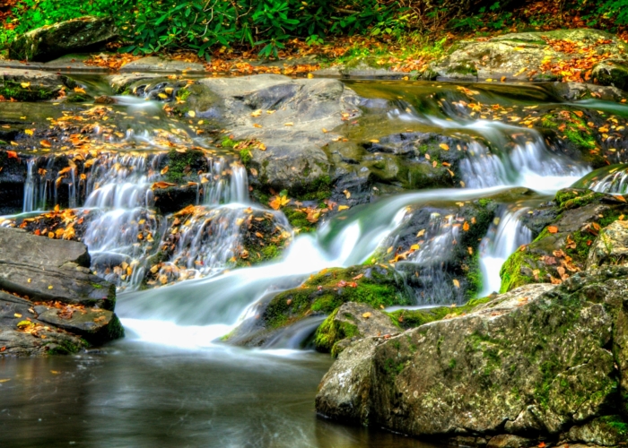 Công viên Great Smoky Hoa Kỳ