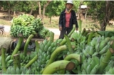 Tin Việt Nam ngày 30/3