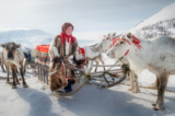 Cuộc sống du mục ở Siberia