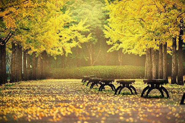 Bí quyết dưỡng sinh của cổ nhân: Không ‘quá độ’ sẽ không chiêu mời bệnh