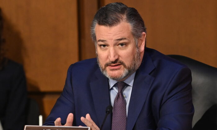 TNS Ted Cruz đệ trình dự luật ngăn Hội đồng Thành phố Hoa Thịnh Đốn cho phép người nhập cư bất hợp pháp bỏ phiếu