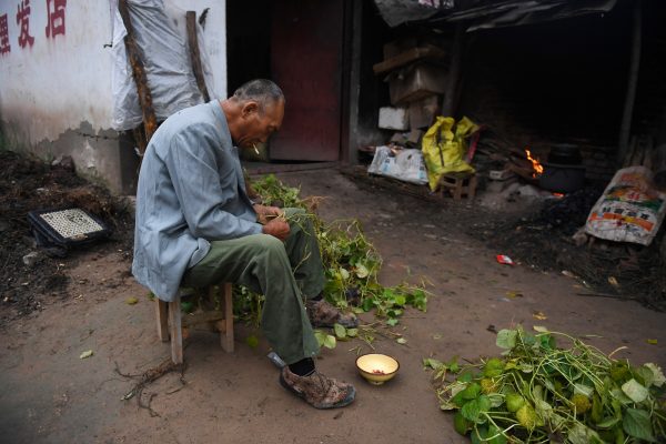 Một người đàn ông lặt đậu bên ngoài ngôi nhà của mình tại một ngôi làng gần sông Hoàng Hà ở quận Lan Khảo, tỉnh Hà Nam, vào ngày 28/09/2017. (Ảnh: Greg Baker/AFP/Getty Images)