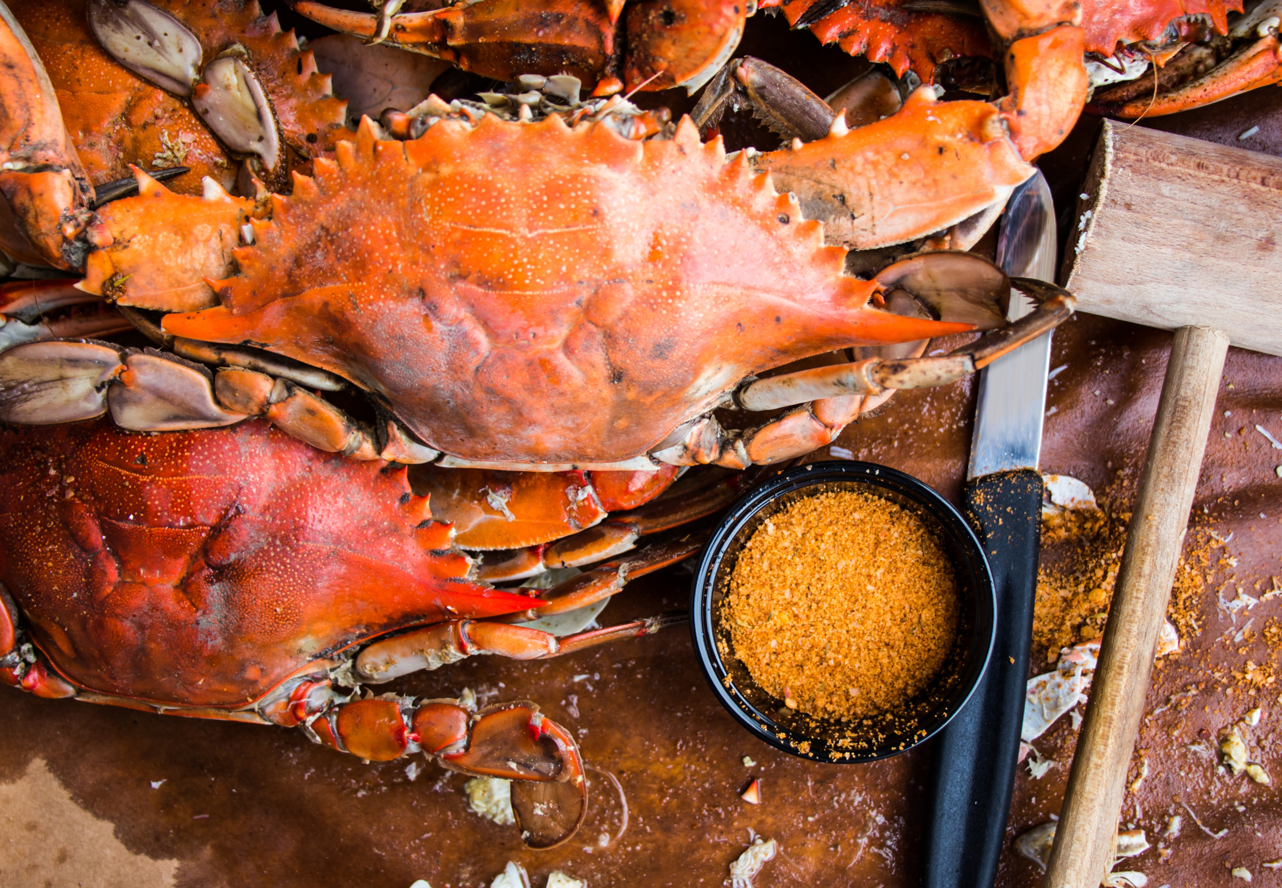 Cua hấp Maryland. (Ảnh: Shutterstock)