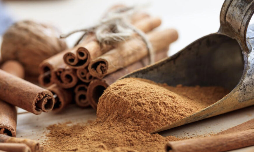 Quế là loại thảo mộc cổ xưa từng được quý như vàng. Trong nhiều thế kỷ, quế được sử dụng rộng rãi như một gia vị ẩm thực cũng như trong y học cổ truyền. (Ảnh: Shutterstock)