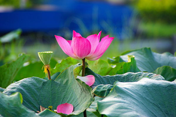 Câu chuyện Trung y: Tránh hầm té giếng