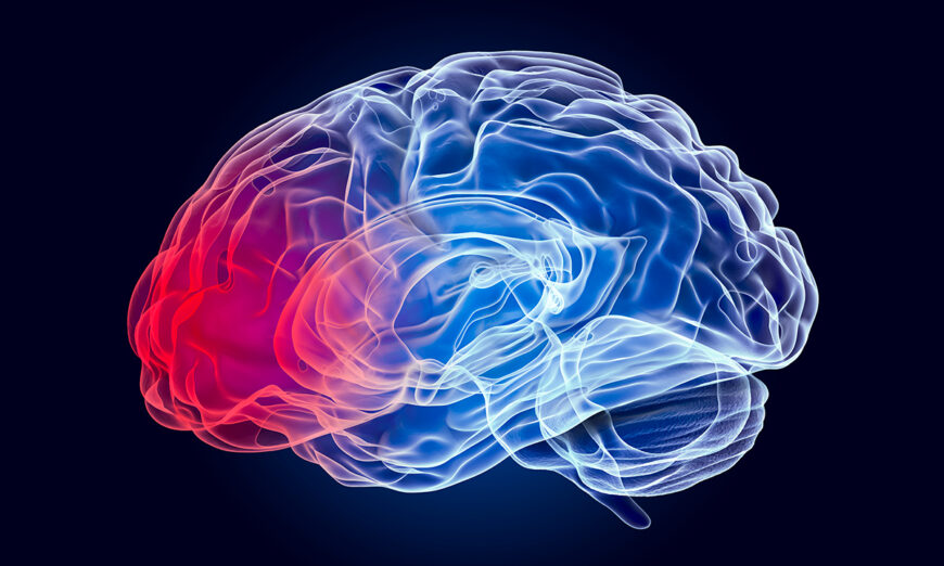 Bệnh Parkinson là một rối loạn hiếm gặp trong phần lớn lịch sử loài người.  (Ảnh: AlexLMX/Shutterstock)