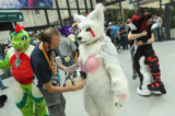 Một người mặc đồ thú đang được chải lông tại Eurofurence ở Berlin, Đức, vào ngày 17/08/2016. (Ảnh: Sean Gallup/Getty Images)