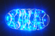 Điều gì gây nên bệnh tâm thần?  (Ảnh: (Steven McDowell/Shutterstock)