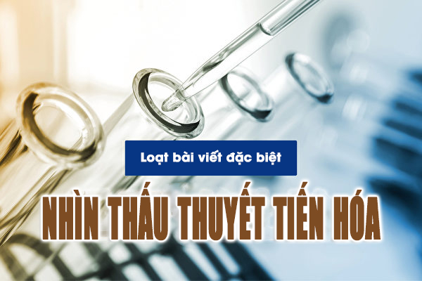 Nhìn thấu ‘Thuyết tiến hóa’ (Chương 2): Phá bỏ suy nghĩ sai lầm kinh điển trong thuyết tiến hóa (P.3)