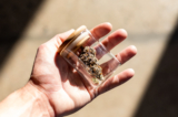 Catalyst Cannabis Company cannabis samples in Santa Ana, Calif., on Feb. 18, 2021. (John Fredricks/The Epoch Times)