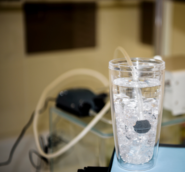 Một ly nước đá được ozone hóa bằng đá ozone hình tròn. (Ảnh: Zenith/Shutterstock)