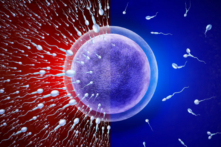 (Ảnh: Shutterstock/Lightspring)