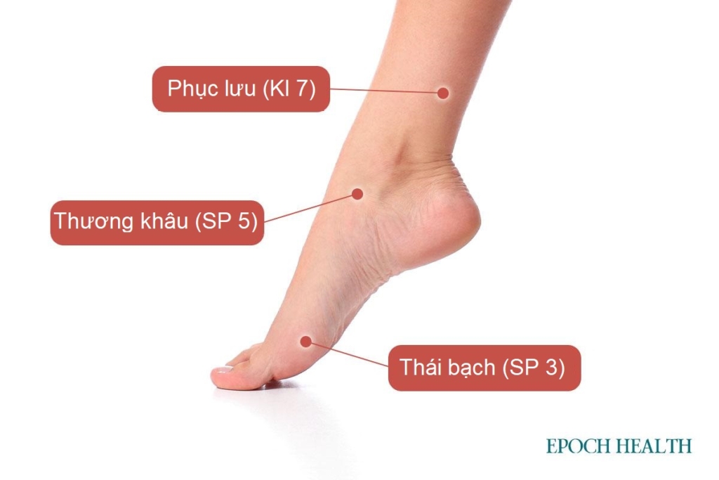 Bạn chưa biết cách điều trị giãn tĩnh mạch chi dưới? Trung y có giải pháp