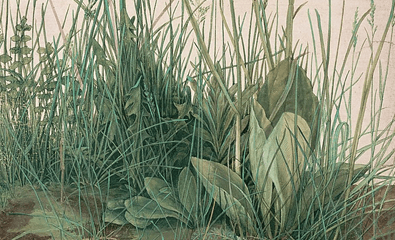 Chi tiết bức “A Great Piece of Turf” (Góc sân cỏ xinh đẹp) của họa sĩ Albrecht Durer, vẽ năm 1503. Màu nước và màu gouache trên giấy, dán trên bìa cứng, kích thước: 16 inch x 12-3/8 inch (~40cm x 31.4cm). Bảo tàng Albertina, Vienna. (Ảnh: Tài liệu công cộng)