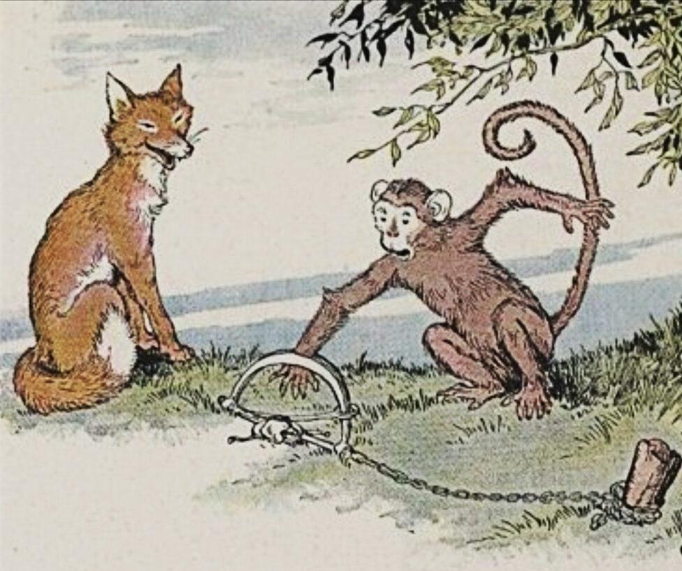 Truyện ngụ ngôn Aesop: Cáo và Khỉ – Người lãnh đạo chân chính chứng tỏ bản thân bằng tố chất của mình