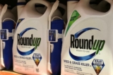 Thuốc diệt cỏ Roundup của công ty hóa chất Monsanto đang được bày bán ở Encinitas, California, vào ngày 26/06/2017. (Ảnh: Mike Blake/Reuters)