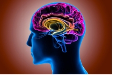 (Ảnh: Life Science/Shutterstock)