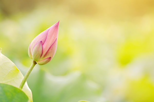 Câu chuyện Trung y: Khóc không ra nước mắt