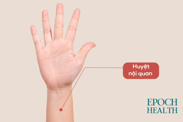 Ăn lẩu sao cho không tăng cân? Bí quyết giữ ấm cơ thể trong đêm giao thừa