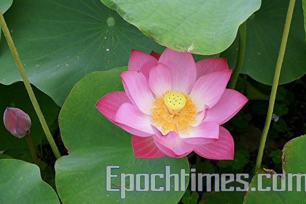 Thầy thuốc kể chuyện: Cái ôm của Cha