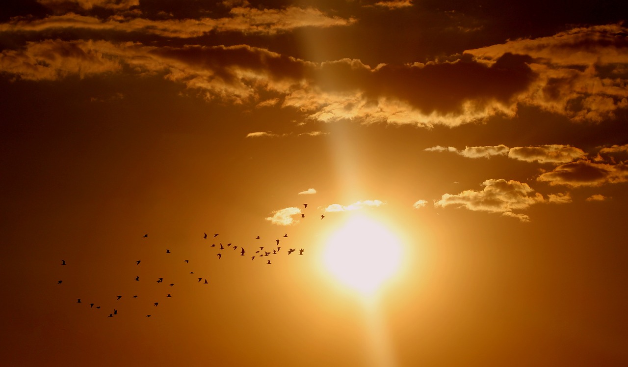 Sở Chiêu Vương mộng thấy điềm xấu. (Ảnh: Pixabay)