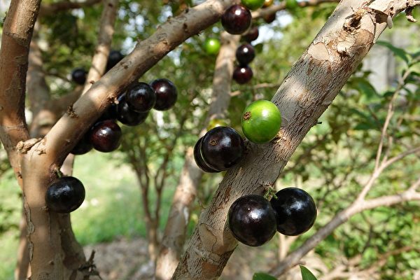 Kiếp nhân sinh có hai đại sự ‘nhất thành bất biến’ nên thận trọng