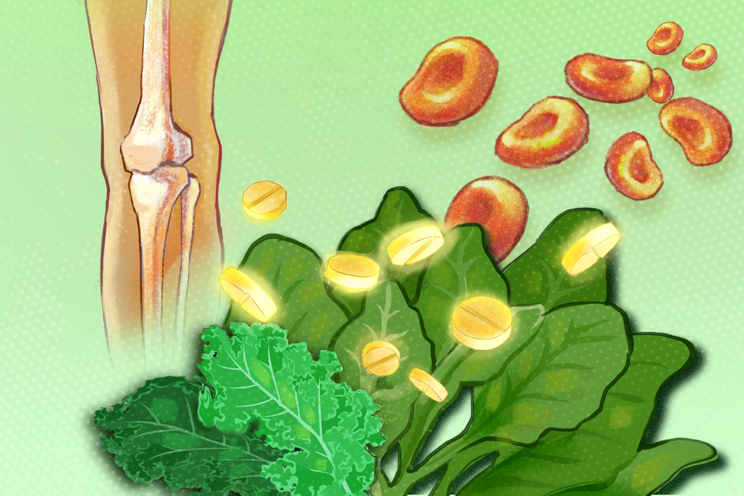 Vitamin K: Triệu chứng thiếu hụt, lợi ích sức khỏe, nguồn cung cấp tối ưu và tác dụng phụ