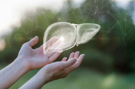 4 thói quen làm suy giảm sức khỏe lá gan