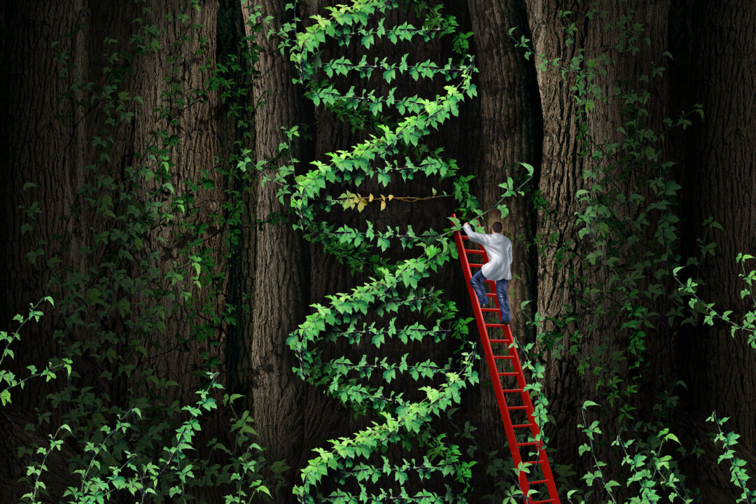 Những cách đáng ngạc nhiên để chữa lành DNA sau tổn thương do COVID