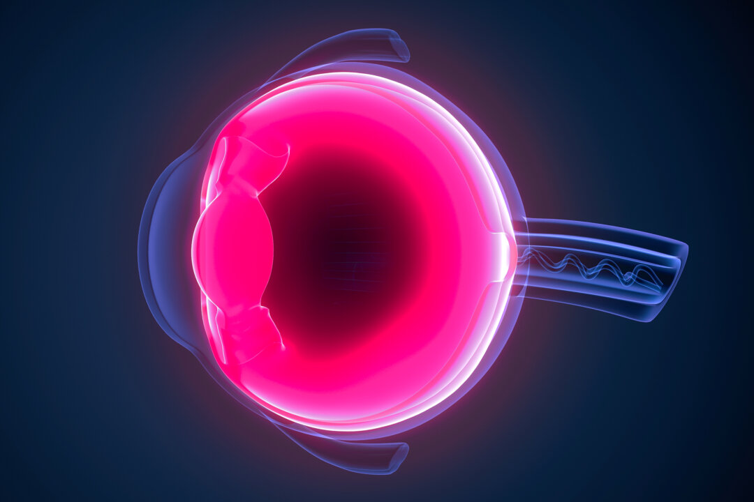 (Ảnh: MicroScience/Shutterstock)