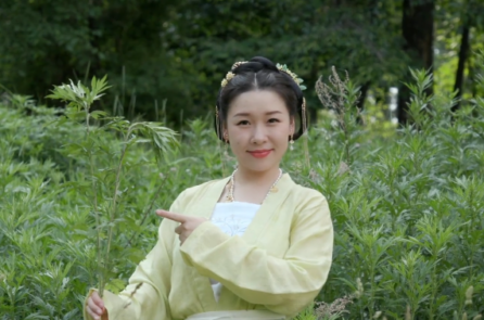 Nếu không có ngải cứu thì chưa gọi là tết Đoan Ngọ