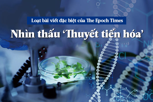 Nhìn thấu ‘Thuyết tiến hóa’ (Chương 6): Giả thuyết tiến hóa khiến khoa học lạc lối (Phần 2.3)