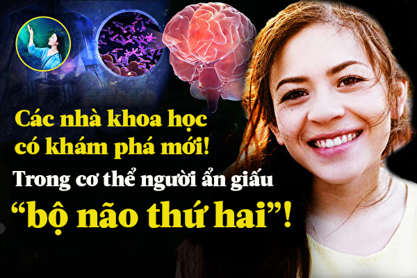 Bí ẩn chưa có lời giải: Trong bụng người còn có một ‘bộ não’ khác!