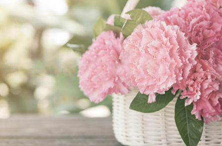 Giấy báo dự thi trong tủ quần áo