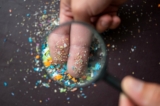 (SIVStockStudio/Shutterstock)