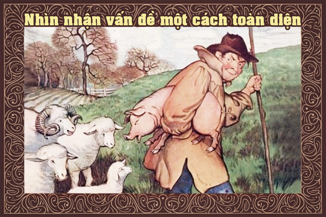 Truyện ngụ ngôn Aesop: Heo và Đàn Cừu