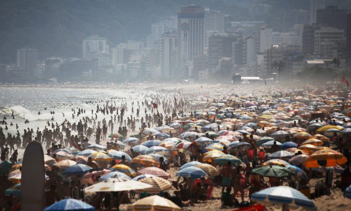 Nghiên cứu: Cá mập ngoài khơi Brazil xét nghiệm dương tính với cocaine