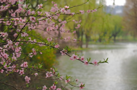 Nhân sinh cảm ngộ: Đập cát trên sông