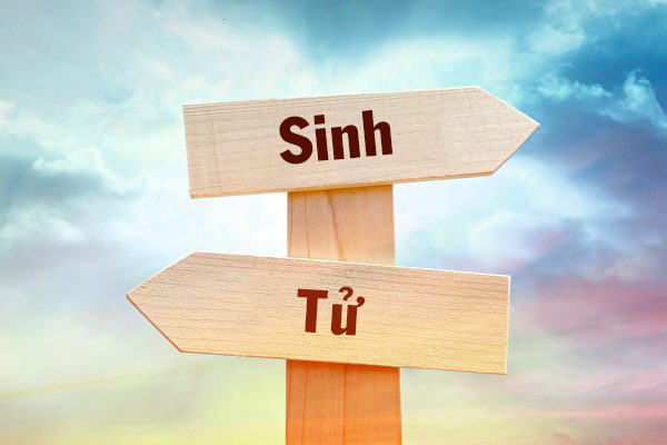 Người phụ nữ nhìn thấy cả cuộc đời mình sau khi rơi từ trên cao xuống lúc 1 tuổi
