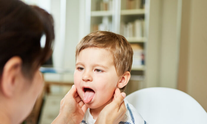 Ảnh: (Shutterstock)